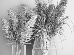decorative bouquet of dried pampas grass 1071 3D Модель