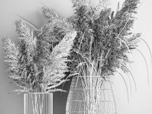 decorative bouquet of dried pampas grass 1071 3D Model