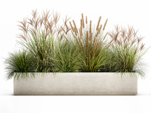 potted reeds for landscaping 1074 3D Модель