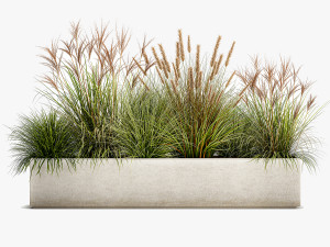 potted reeds for landscaping 1074 3D Модель