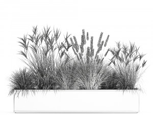 potted reeds for landscaping 1074 3D Модель