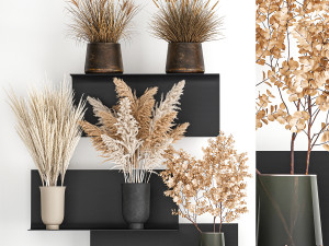 collection of bouquets of dried flowers 207 3D Model