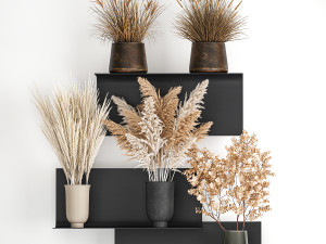 collection of bouquets of dried flowers 207 3D Модель