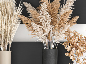 collection of bouquets of dried flowers 207 3D Модель