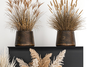 collection of bouquets of dried flowers 207 3D Модель