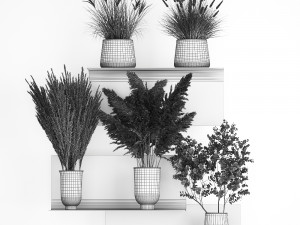 collection of bouquets of dried flowers 207 3D Модель