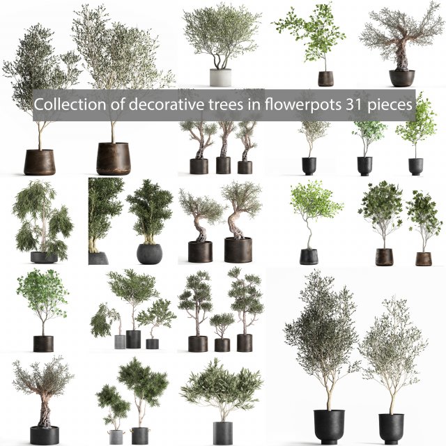 collection of decorative trees 31 pieces 3D Model .c4d .max .obj .3ds .fbx .stl .blend 