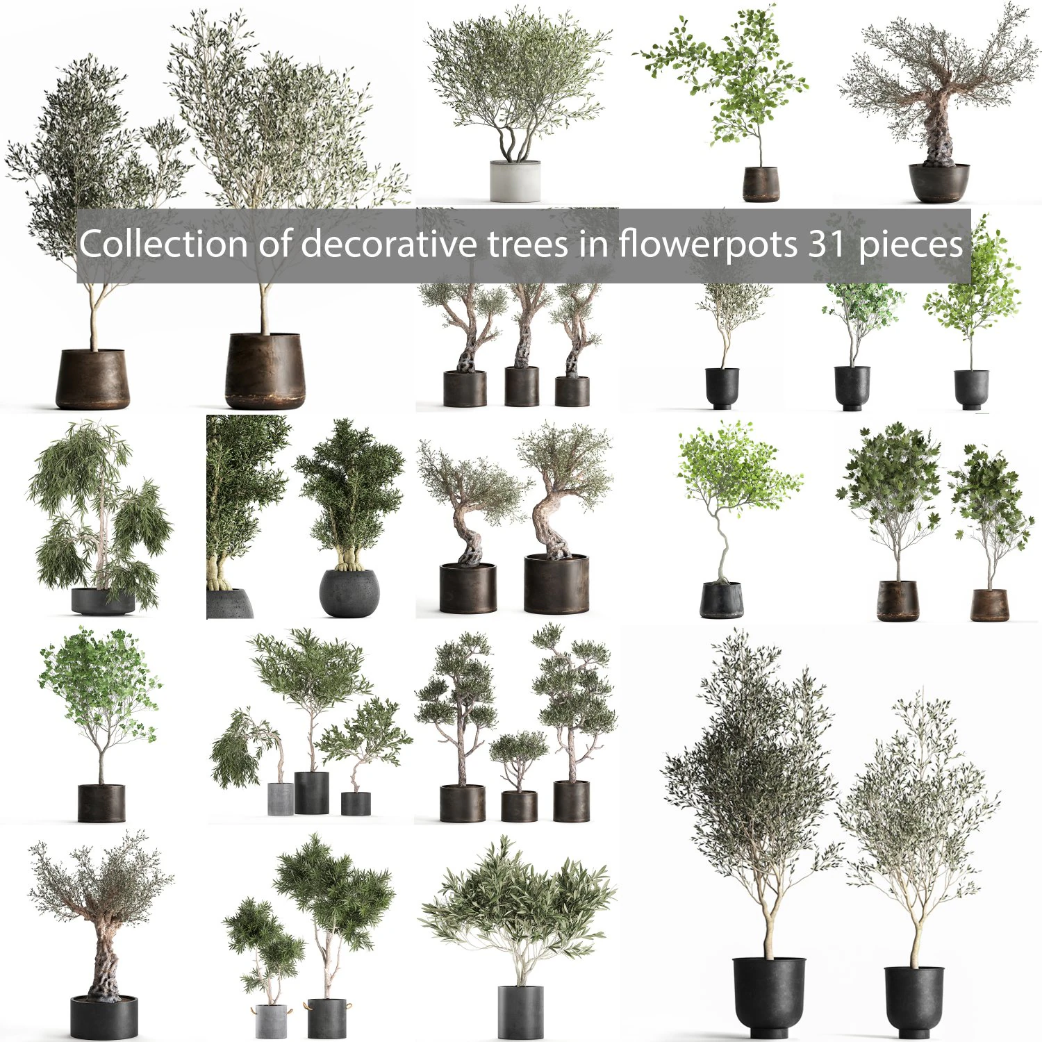 collection of decorative trees 31 pieces 3D Model .c4d .max .obj .3ds .fbx .stl .blend