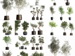 collection of decorative trees 31 pieces 3D Model