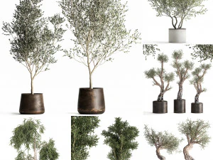 collection of decorative trees 31 pieces 3D Model