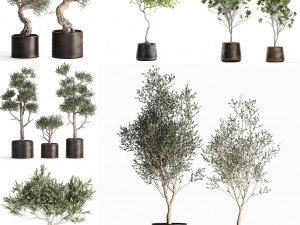 collection of decorative trees 31 pieces 3D Model