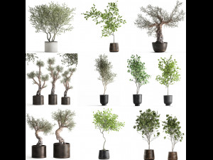 collection of decorative trees 31 pieces 3D Model