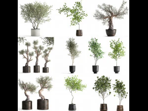 collection of decorative trees 31 pieces 3D Model