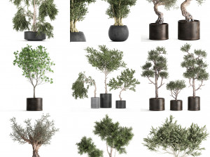 collection of decorative trees 31 pieces 3D Model