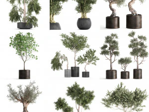 collection of decorative trees 31 pieces 3D Model