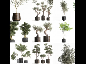 collection of decorative trees 31 pieces 3D Model
