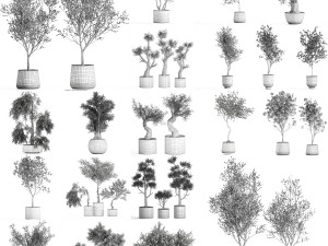 collection of decorative trees 31 pieces 3D Model