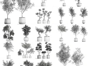 collection of decorative trees 31 pieces 3D Model
