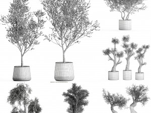 collection of decorative trees 31 pieces 3D Model