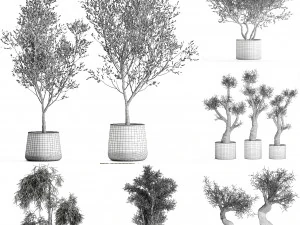 collection of decorative trees 31 pieces 3D Model
