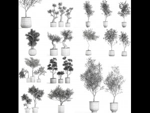 collection of decorative trees 31 pieces 3D Model