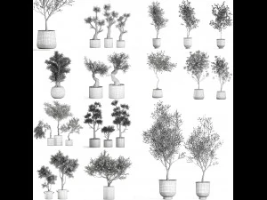collection of decorative trees 31 pieces 3D Model