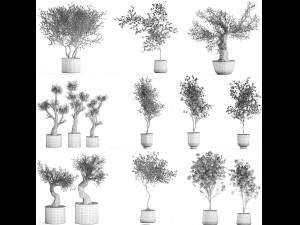 collection of decorative trees 31 pieces 3D Model