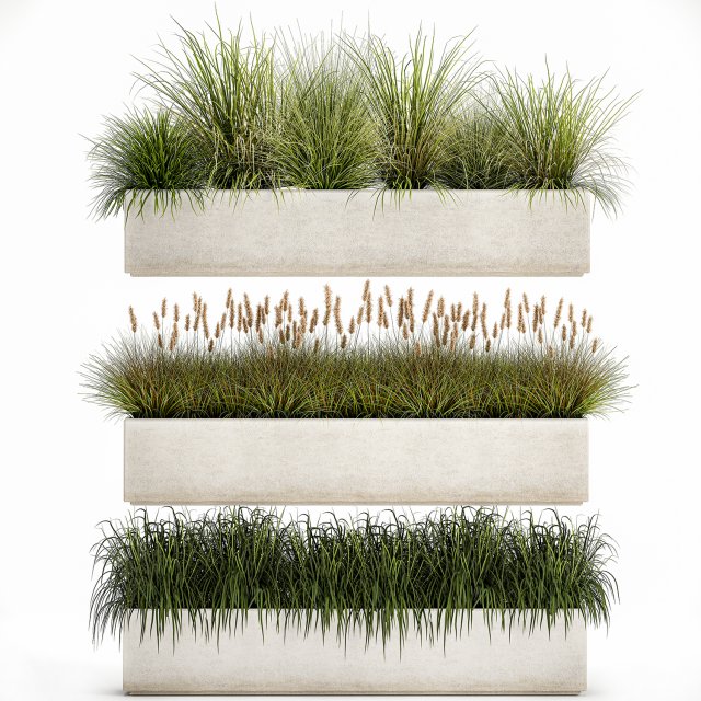 potted reeds for landscaping 1075 3D Модель .c4d .max .obj .3ds .fbx .stl .blend 
