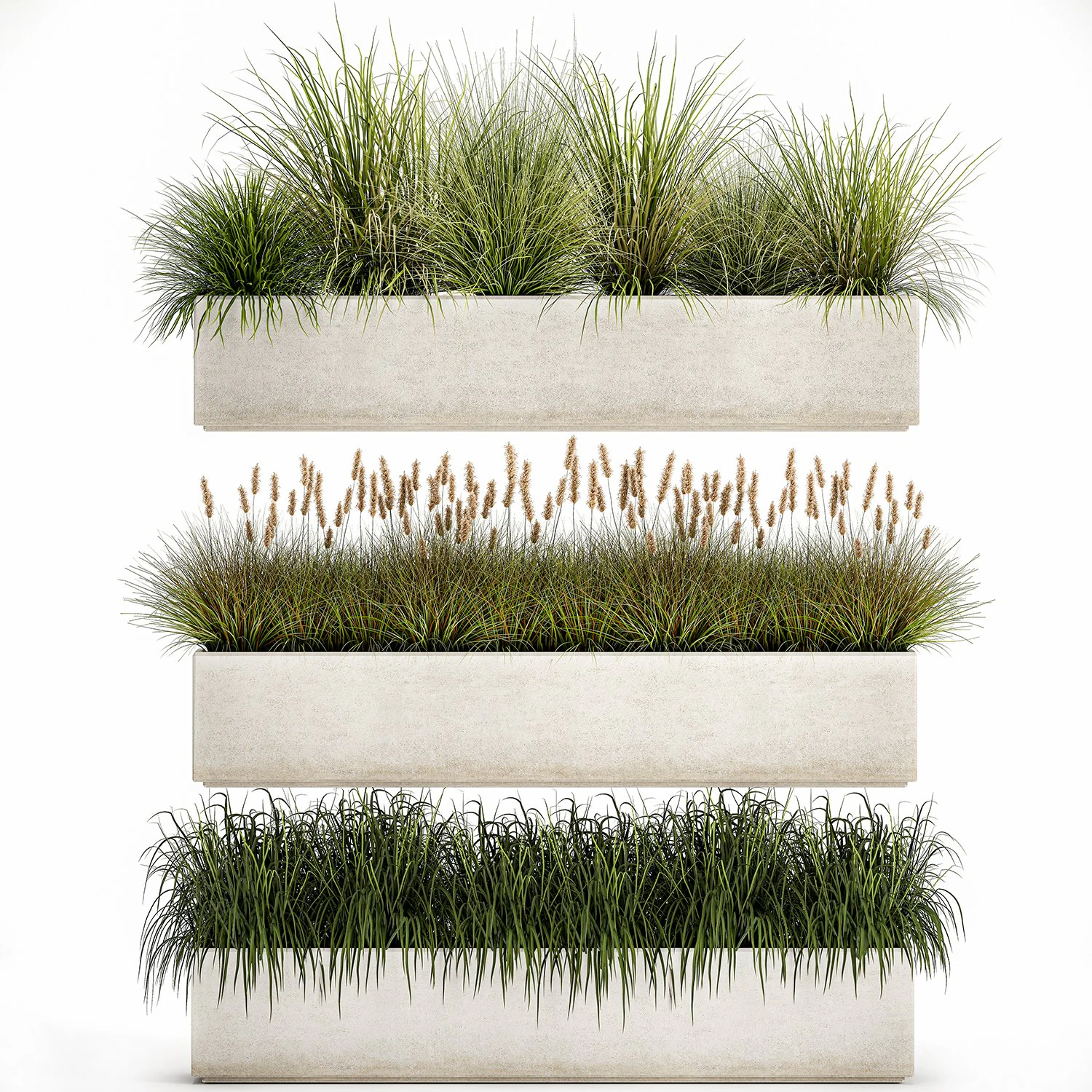 potted reeds for landscaping 1075 3D Model .c4d .max .obj .3ds .fbx .stl .blend