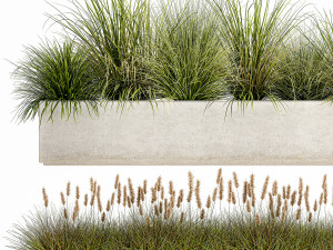 potted reeds for landscaping 1075 3D Модель