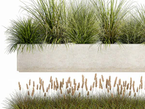 potted reeds for landscaping 1075 3D Model