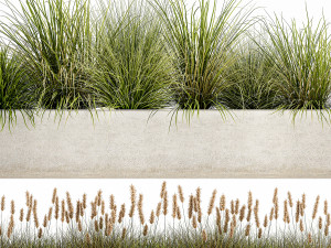 potted reeds for landscaping 1075 3D Модель