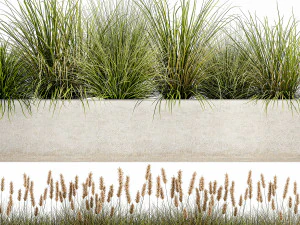potted reeds for landscaping 1075 3D Model