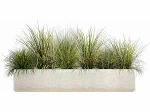 potted reeds for landscaping 1075 3D Model