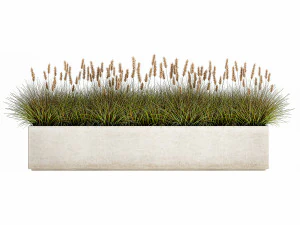 potted reeds for landscaping 1075 3D Model