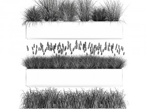 potted reeds for landscaping 1075 3D Модель