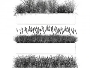 potted reeds for landscaping 1075 3D Model
