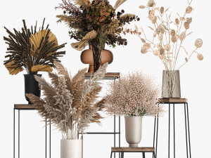 collection of bouquets of dried flowers 208 3D Модель