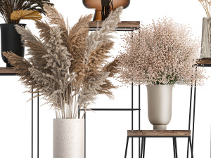 collection of bouquets of dried flowers 208 3D 模型