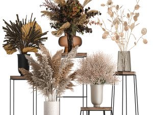 collection of bouquets of dried flowers 208 3D 模型