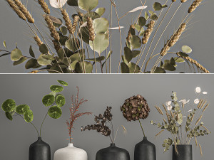 collection of bouquets of dried flowers 209 3D Model