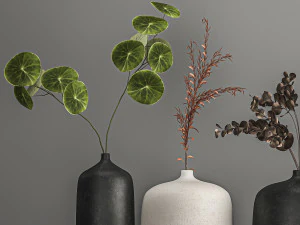 collection of bouquets of dried flowers 209 3D Model
