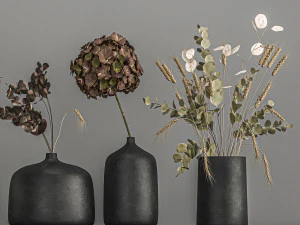 collection of bouquets of dried flowers 209 3D Model