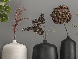 collection of bouquets of dried flowers 209 Modèle 3D