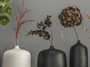 collection of bouquets of dried flowers 209 3D Model
