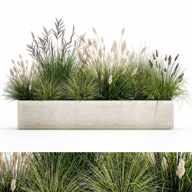 potted reeds for landscaping 1076 3D Модель .c4d .max .obj .3ds .fbx .stl .blend 