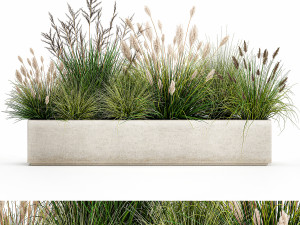 potted reeds for landscaping 1076 3D Models