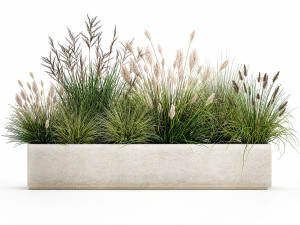 potted reeds for landscaping 1076 3D Модель