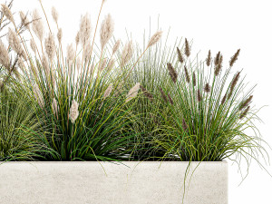 potted reeds for landscaping 1076 3D Модель