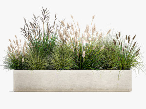 potted reeds for landscaping 1076 3D Модель